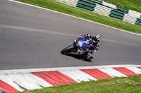 cadwell-no-limits-trackday;cadwell-park;cadwell-park-photographs;cadwell-trackday-photographs;enduro-digital-images;event-digital-images;eventdigitalimages;no-limits-trackdays;peter-wileman-photography;racing-digital-images;trackday-digital-images;trackday-photos